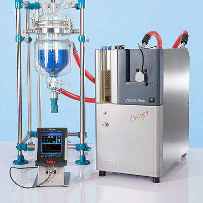 detail grande fleur3