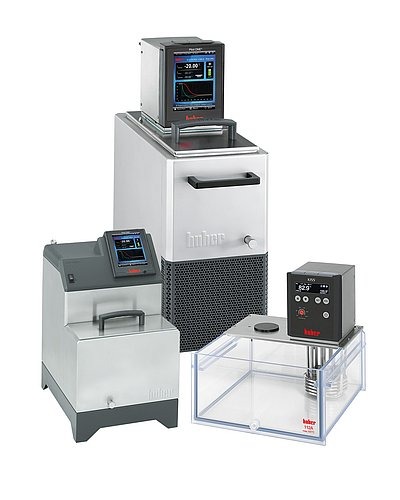 whatsapp image 2026 02 27 at 12.26.07