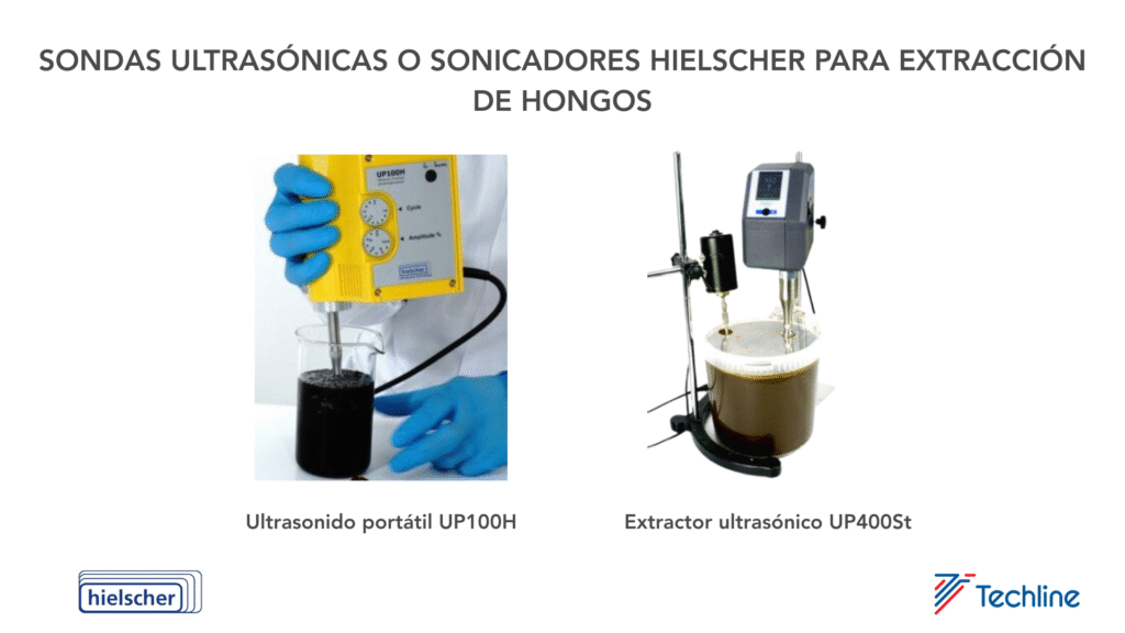 Extracción de hongos con sonda ultrasónica image